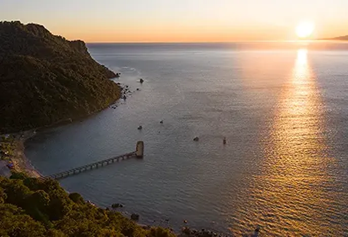 Scenic Wildlife Tours